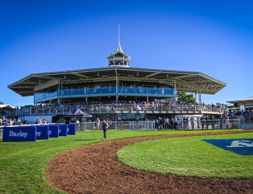 Scone Race Club Appoints New CEO